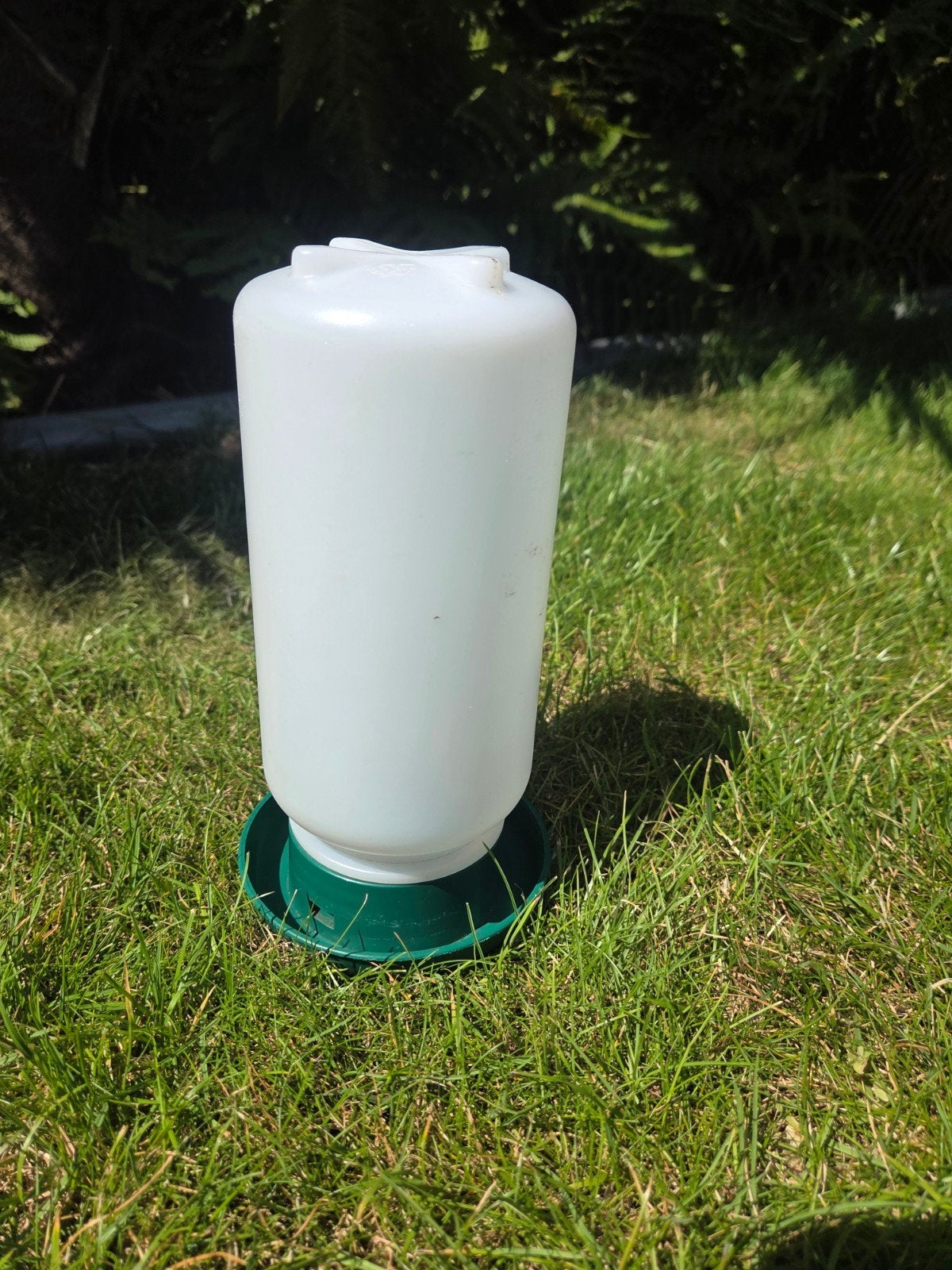 Kuiken drinkbak, Dieren en Toebehoren, Ophalen of Verzenden, Drinken en Voederen