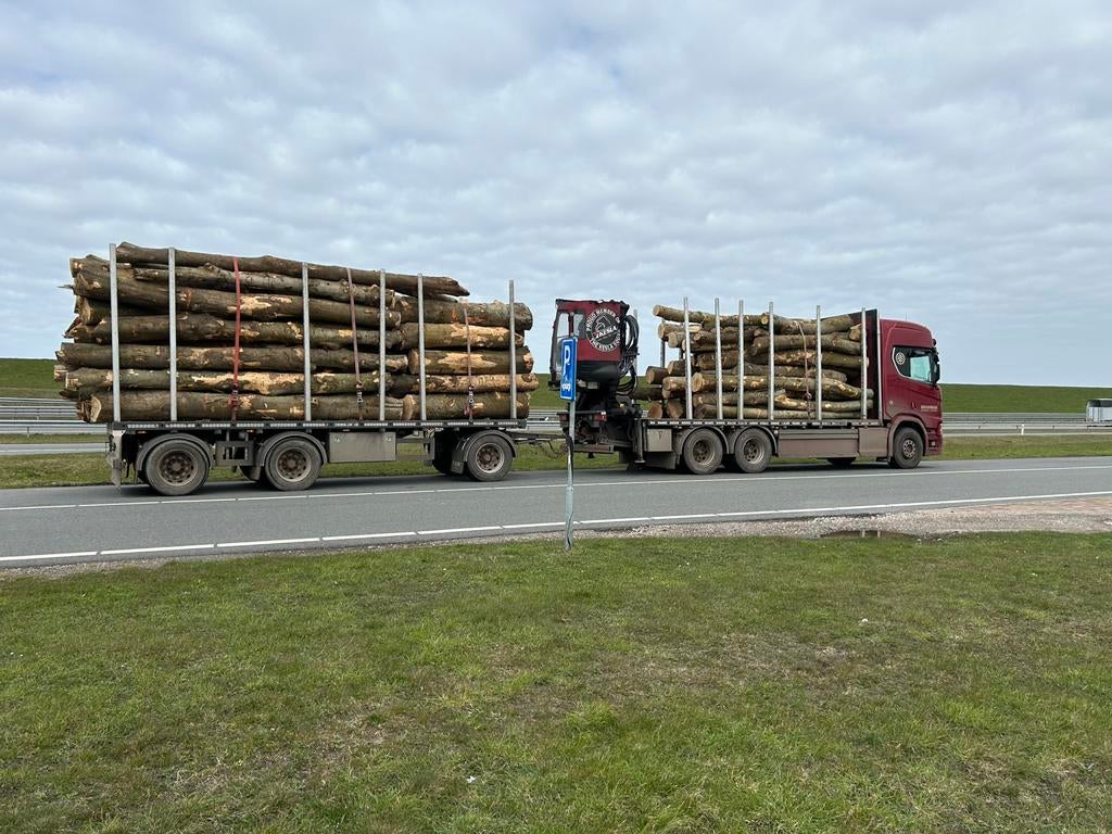 Brandhout Stamhout Boomstammen volle en kleinere vrachten, Tuin en Terras, Haardhout, 6 m³ of meer, Ophalen, Stammen