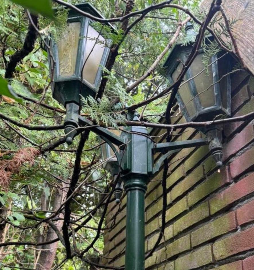 2 donkergroene klassieke lantaarnpalen, Tuin en Terras, Ophalen, Staande lamp, 50 tot 250 watt, IJzer