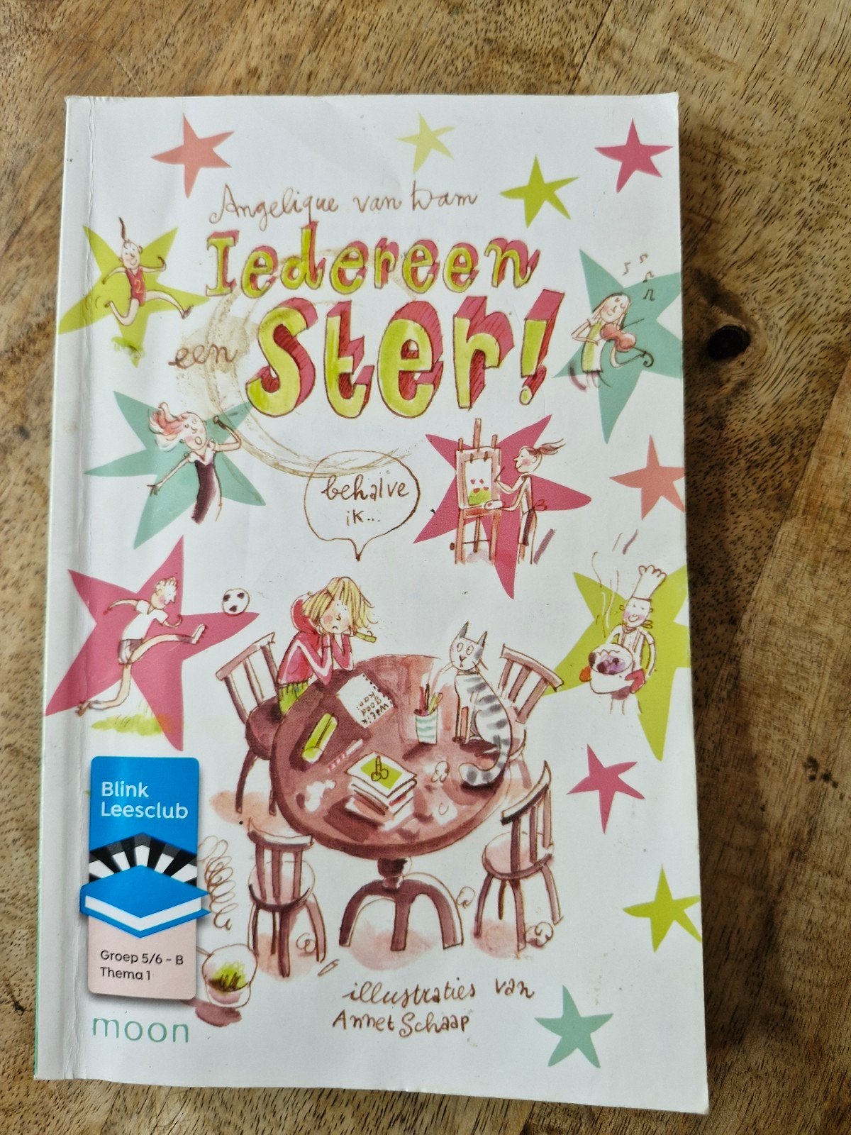 Iedereen een Ster! - Angelique van Dam (Blink Leesclub), Boeken, Ophalen of Verzenden, Gelezen, Angelique van Dam, Fictie algemeen