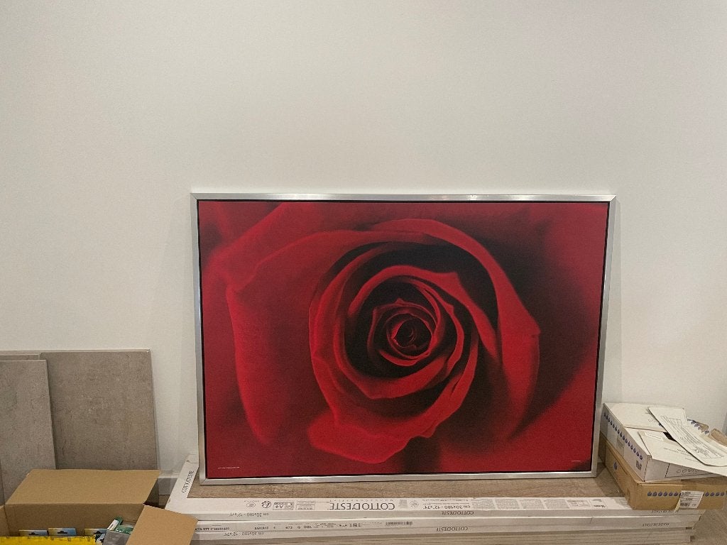 schilderij Rode roos IKEA, Ophalen, Gebruikt, 125 cm of meer, Schilderij