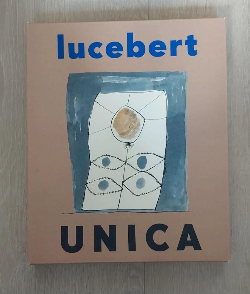 Lucebert Unica - Stedelijk Museum, Ophalen of Verzenden, Zo goed als nieuw