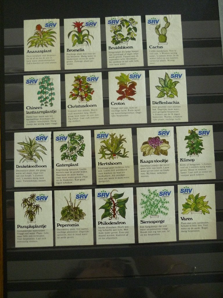 Verzameling luciferplaatjes SRV - Planten, Ophalen of Verzenden, Gebruikt, Luciferdoosjes of -merken