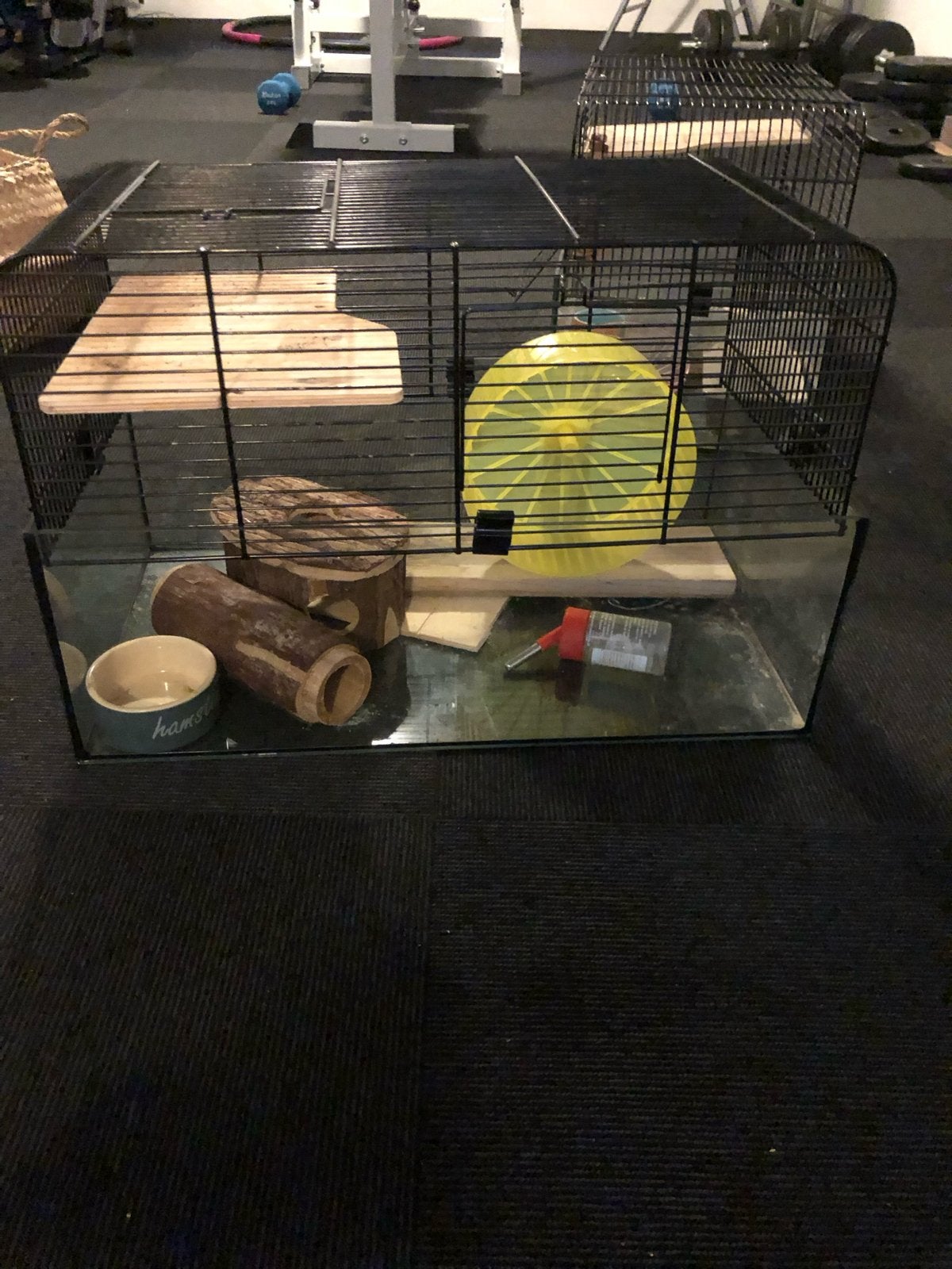 Hamsterkooi + spullen, Dieren en Toebehoren, Knaagdieren en Konijnen | Hokken en Kooien, Kooi, Minder dan 75 cm, Hamster, Ophalen