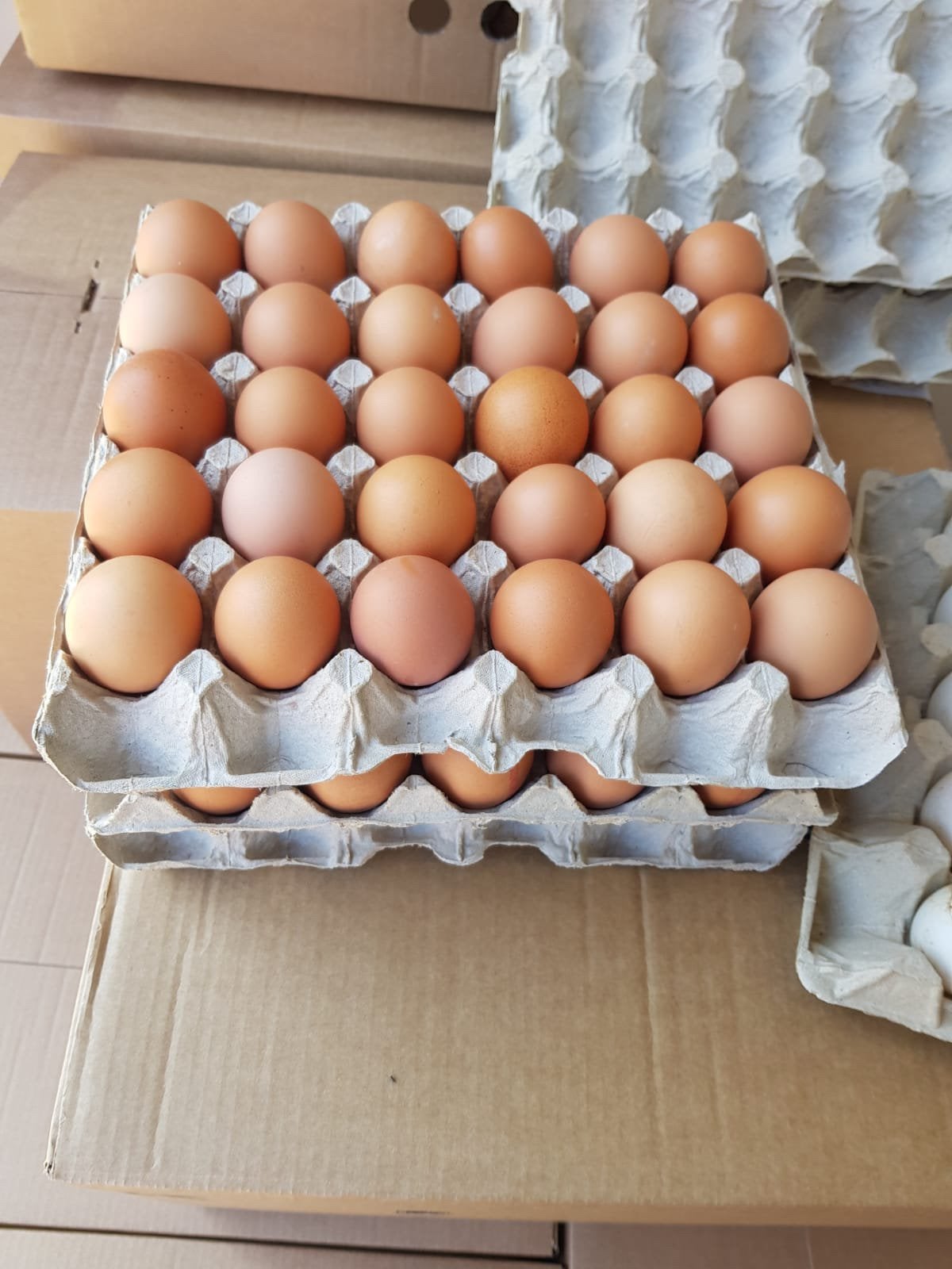 EIEREN 30 STUKS ( gratis bezorging BOZ) nergens goedkoper!!, Ophalen of Verzenden