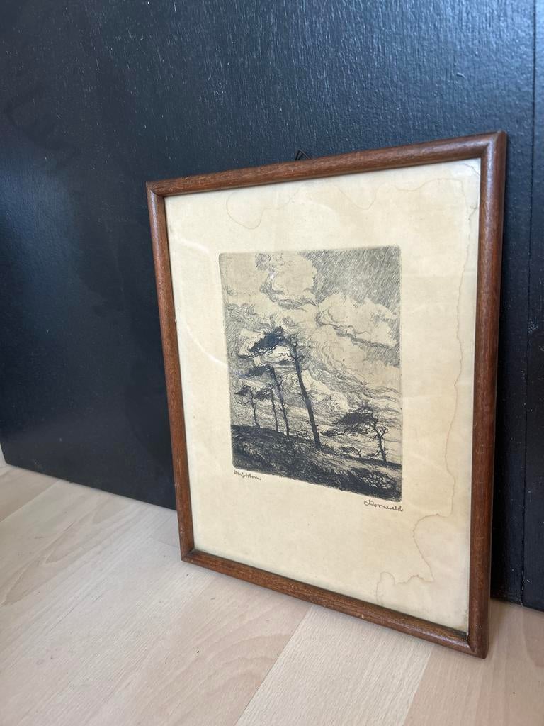 Oude Ets,denk van van Arie Zonneveld - Landschap met bomen, Antiek en Kunst, Ets, Ophalen of Verzenden, Gesigneerd, Landschap
