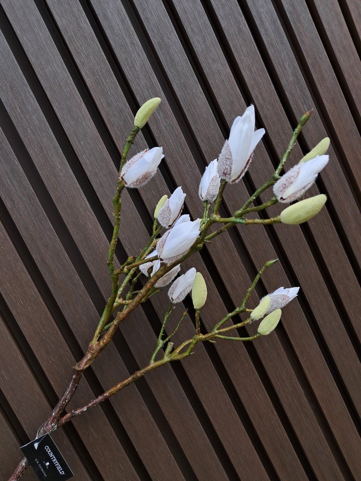 Magnolia takken! 
Klein €8,99 p.s.
Groot €19,49 p.s., Ophalen of Verzenden, Nieuw, Wit, Countryfield