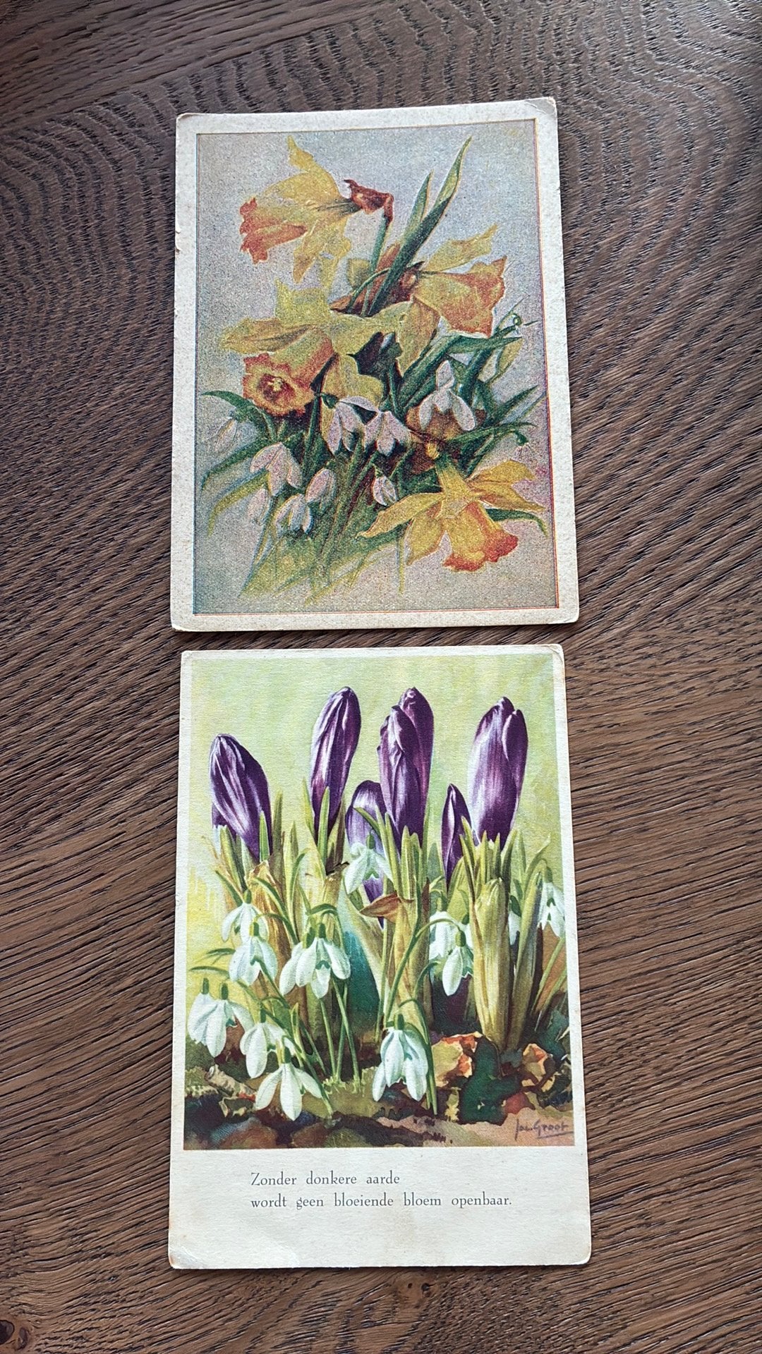 Crocus en sneeuwklokjes/narcis en sneeuwklokjes, Verzamelen, Ophalen of Verzenden, Ongelopen