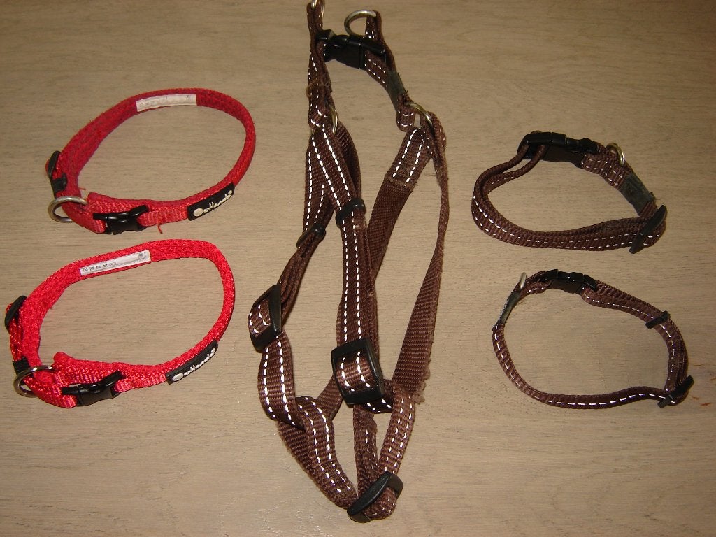 HONDENHALSBAND EN HONDENTUIG !!!!, Ophalen of Verzenden, Zo goed als nieuw, Halsband
