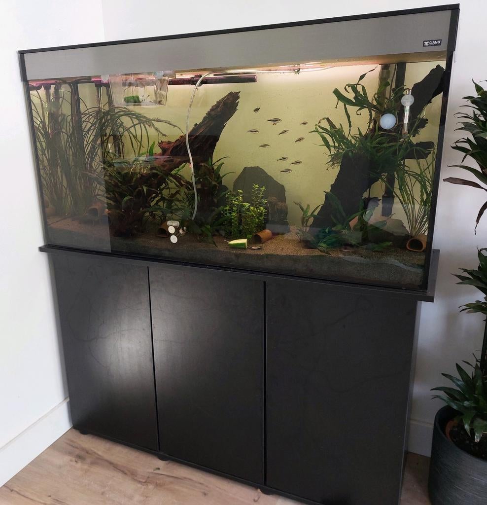 Groot aquarium, Dieren en Toebehoren, Ophalen