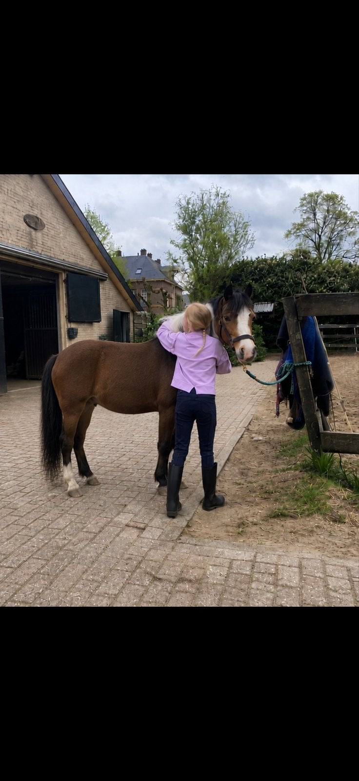 Op zoek naar een verzorg pony, Ophalen of Verzenden