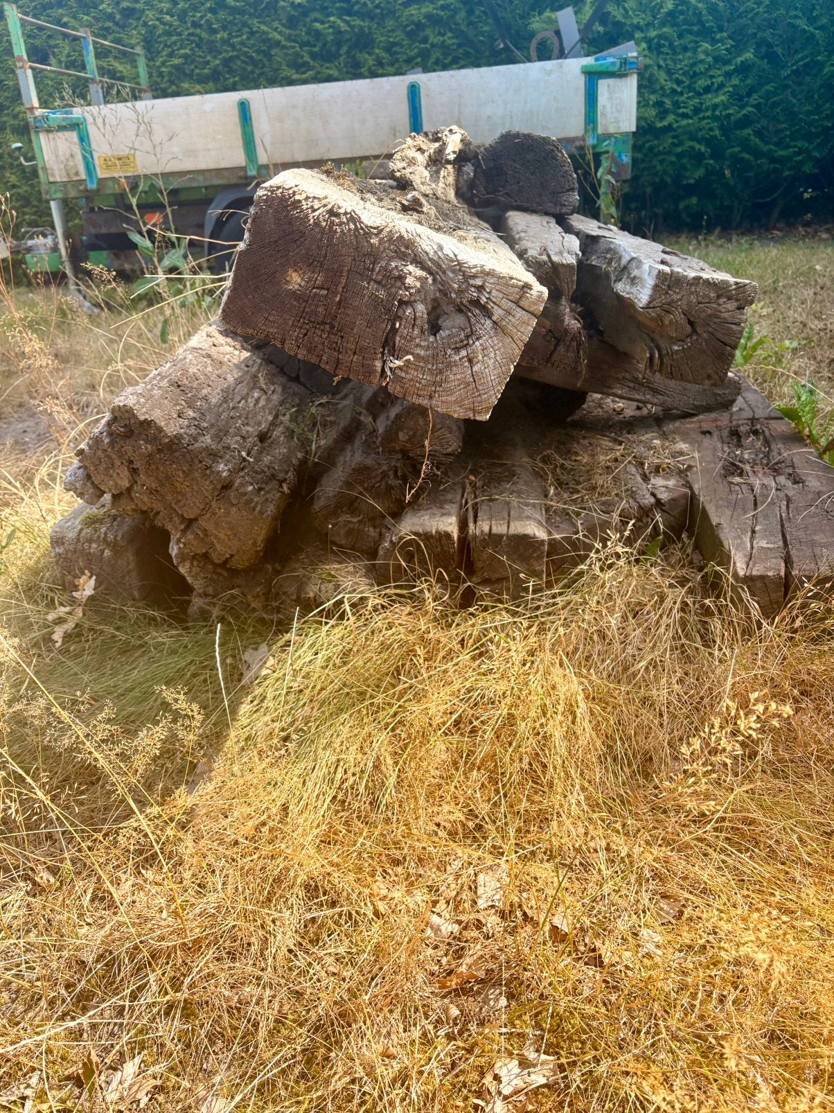 Spoorbielzen / bielzen circa 10 stuks - Gratis, Ophalen, Gebruikt, 25 cm of meer, Biels