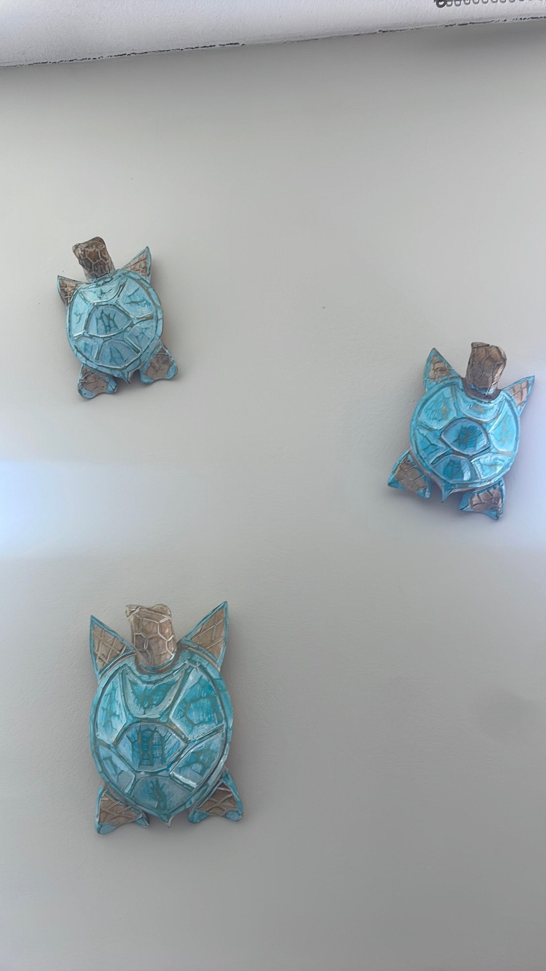Decoratieve schildpadjes bali stijl, Ophalen of Verzenden, Zo goed als nieuw