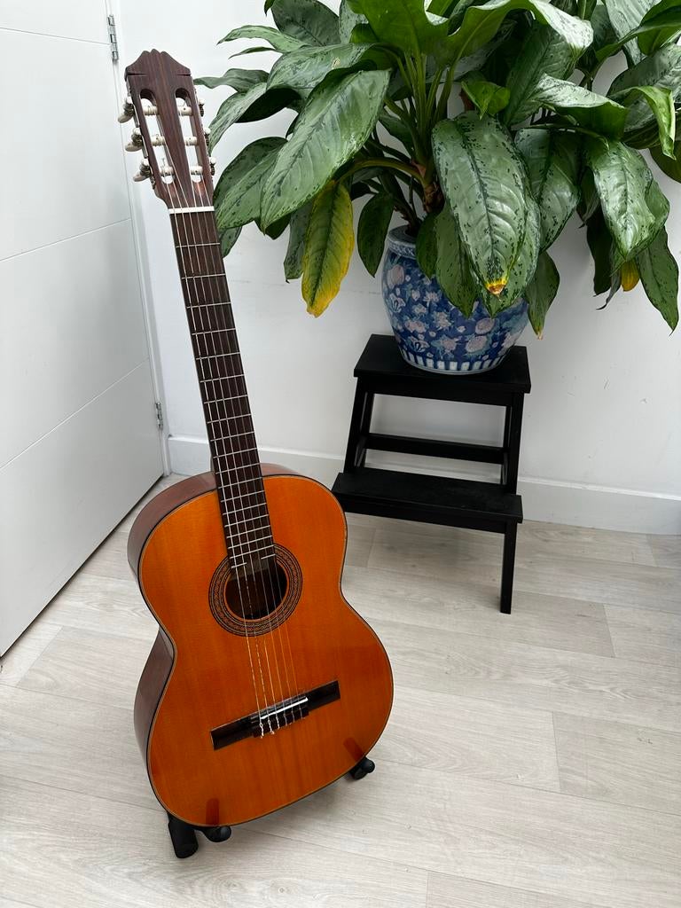 Aria Concert Gitaar AC7 - Klassieke Akoestische Gitaar, Ophalen, Gebruikt, Klassieke of Spaanse gitaar