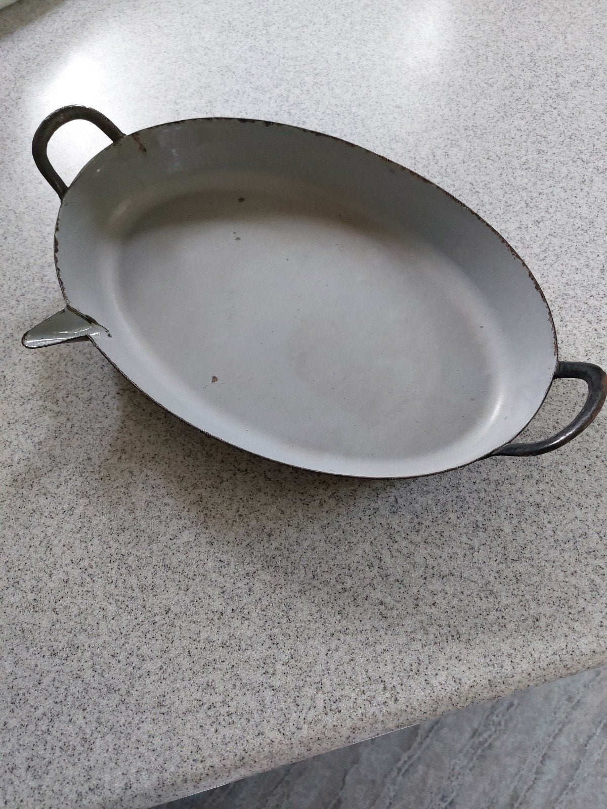 Plaatstalen ovalen schotel/ ovenschotel, Huis en Inrichting, Keuken | Potten en Pannen, Ophalen, Gebruikt, Overige materialen