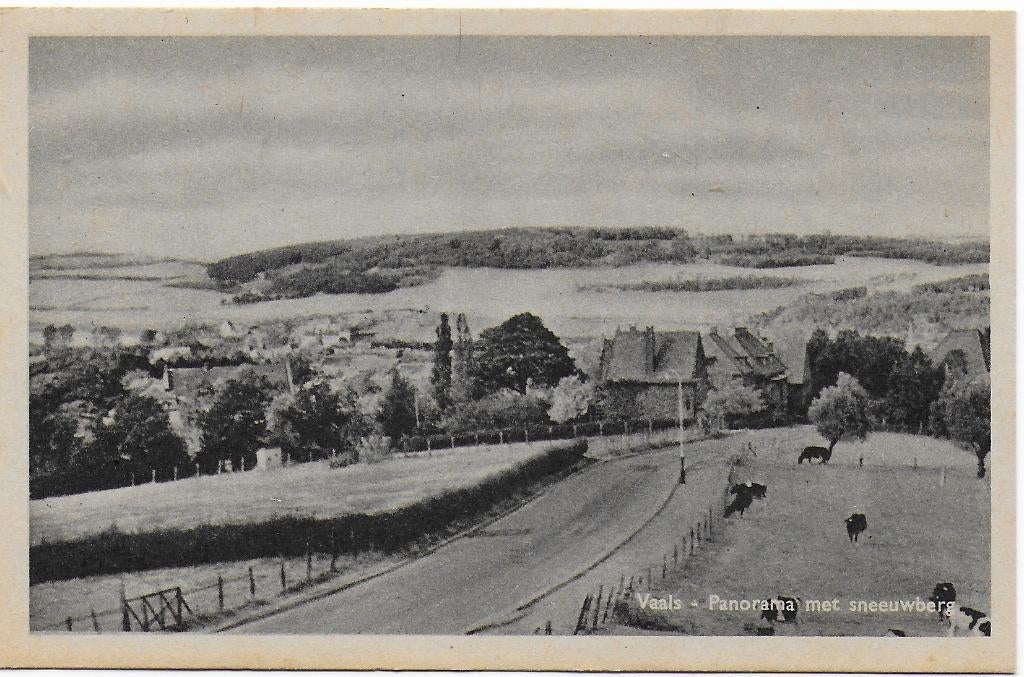 Vaals oude ongelopen ansichtkaart Panorama Sneeuwberg B4986, Ophalen of Verzenden, 1940 tot 1960, Ongelopen, Limburg