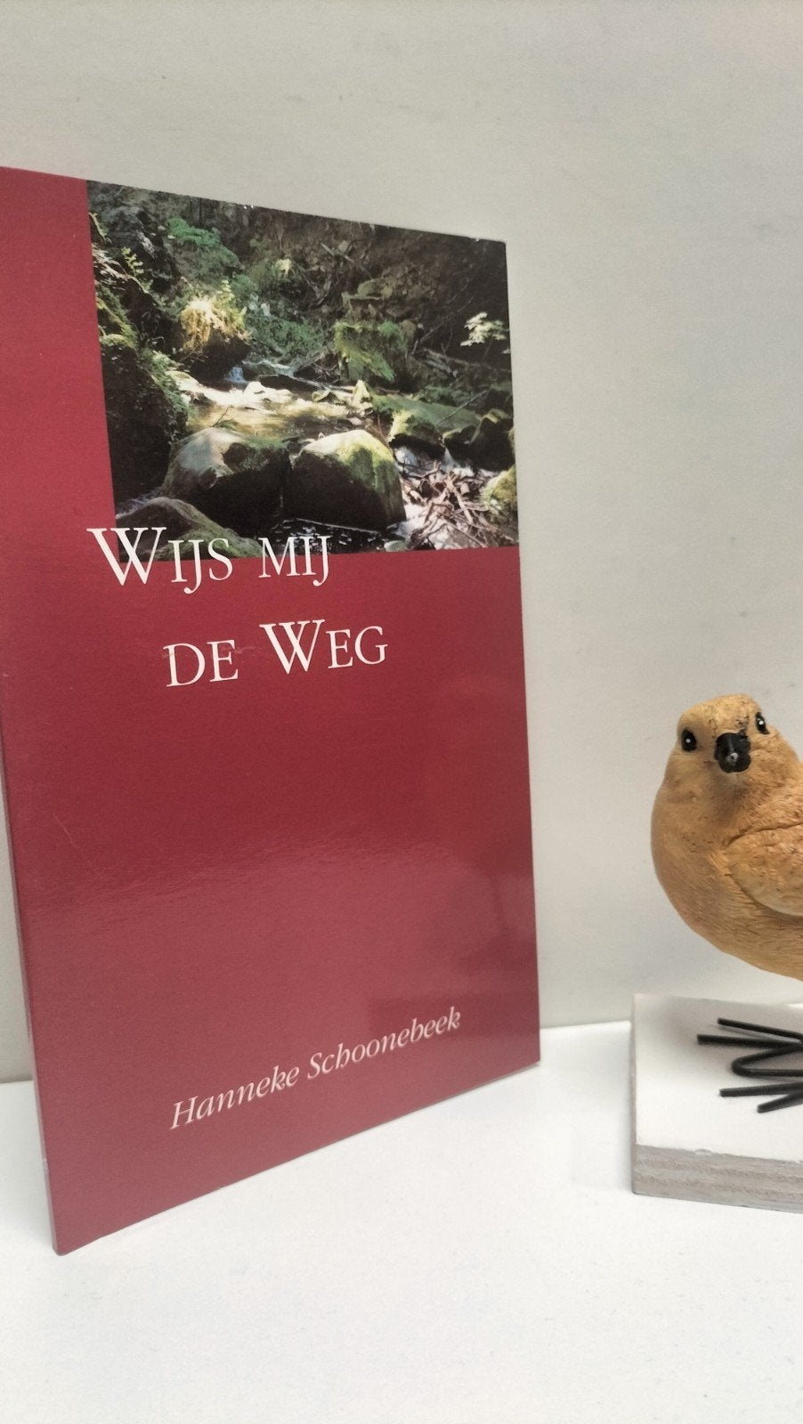 Schoonebeek, Hanneke; Wijs mij de Weg, Ophalen of Verzenden, Gelezen, Christendom | Protestants