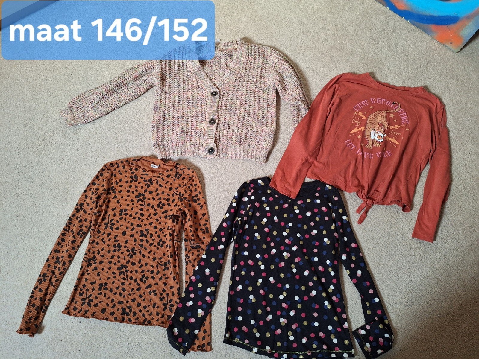 Kledingpakket Meisjes Maat 146/152 - Truien & Shirts, Kinderen en Baby's, Ophalen of Verzenden, Gebruikt, Meisje, Setje