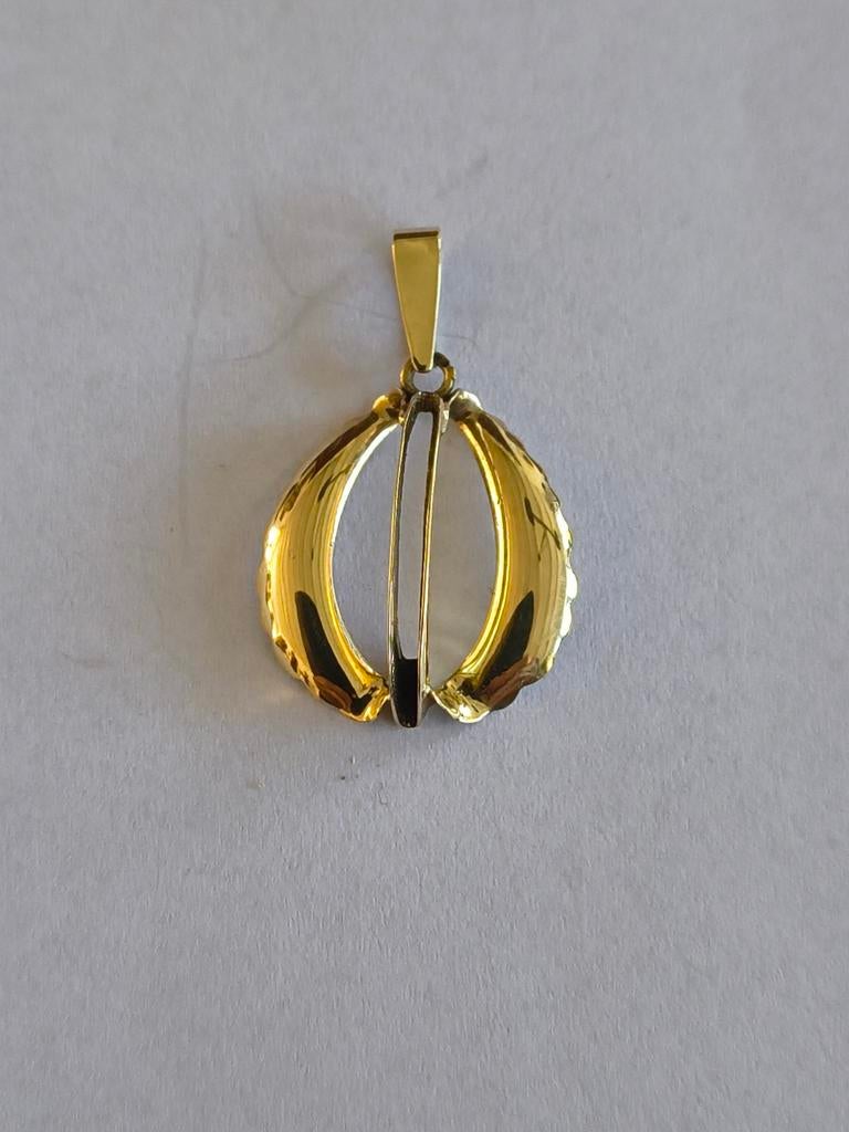 14 karaats gouden hanger., Ophalen of Verzenden, Zo goed als nieuw, Goud, Goud