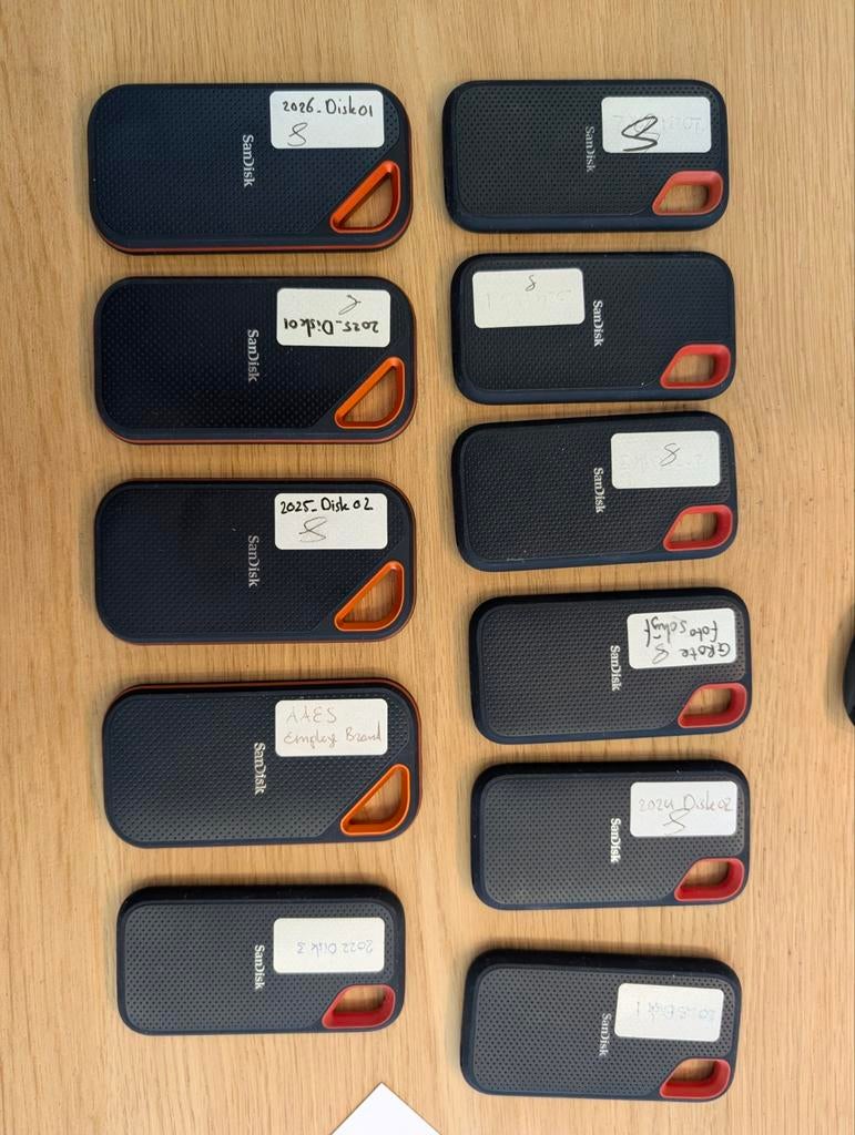 SanDisk Extreme Pro SSD's (V1 & V2) - Diverse aantallen, Computers en Software, Harde schijven, Gebruikt, Server, SSD, Verschillend (2TB zichtbaar op foto)