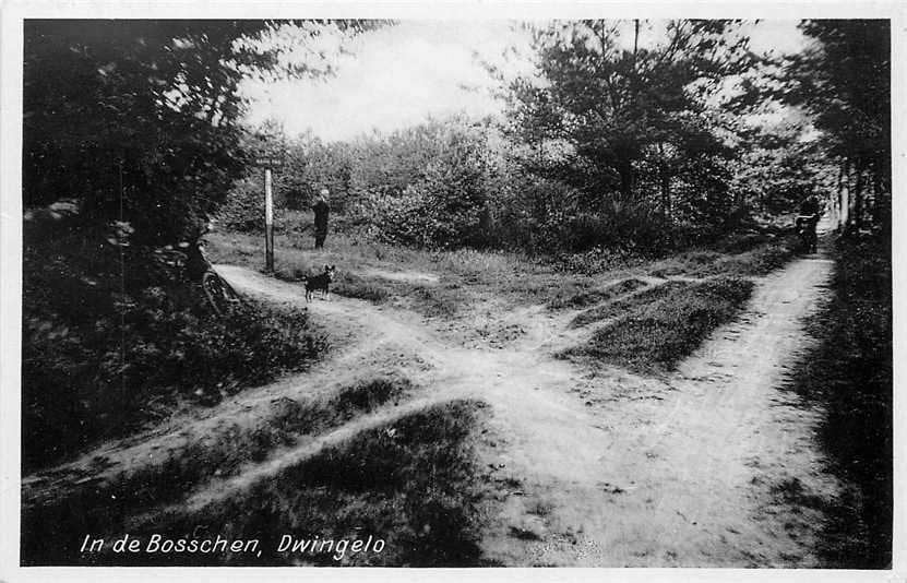 377-607-039 Dwingeloo in de Bosschen, Verzamelen, Ansichtkaarten | Nederland, Verzenden, Voor 1920, Drenthe