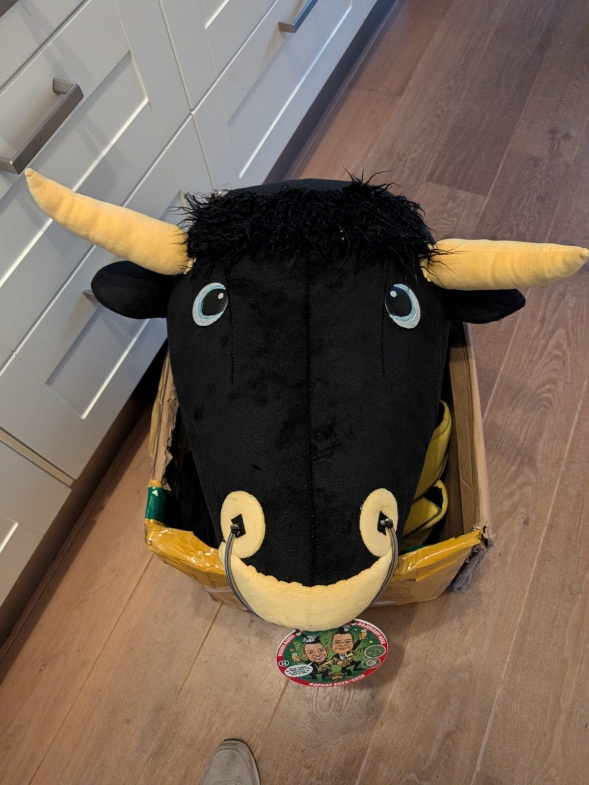 Stier kostuum voor carnaval of themafeest, Ophalen of Verzenden, Zo goed als nieuw, Kostuum, Carnaval
