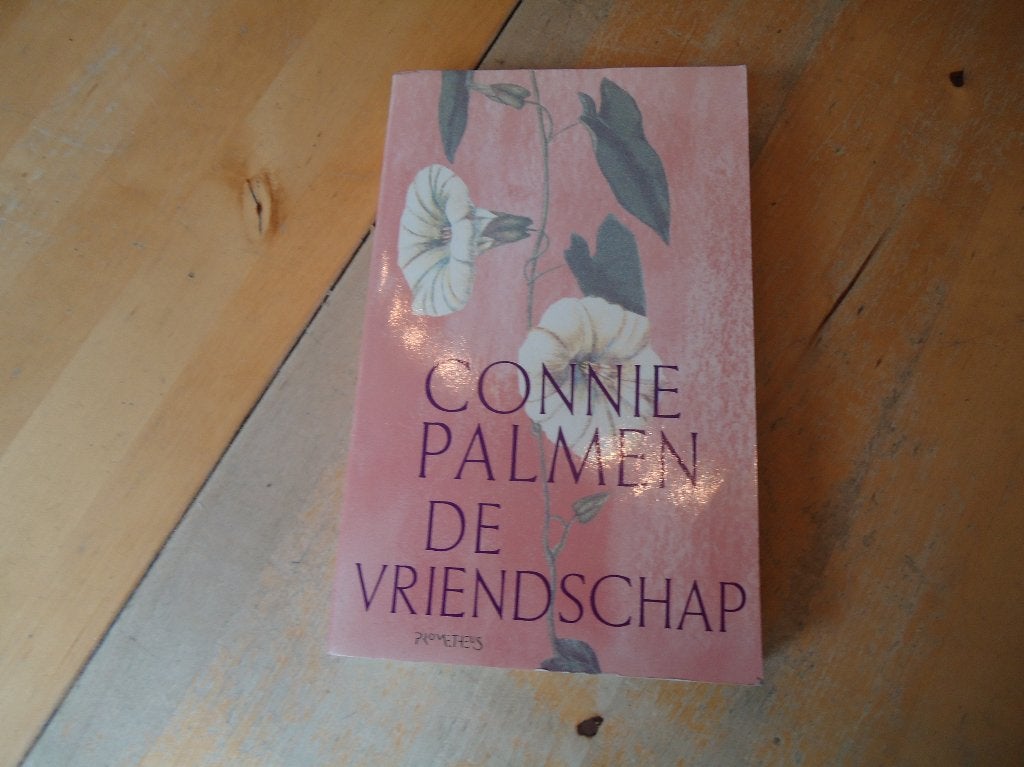 De vriendschap door Connie Palmen ZGAN, Boeken, Ophalen of Verzenden, Zo goed als nieuw, Connie Palmen