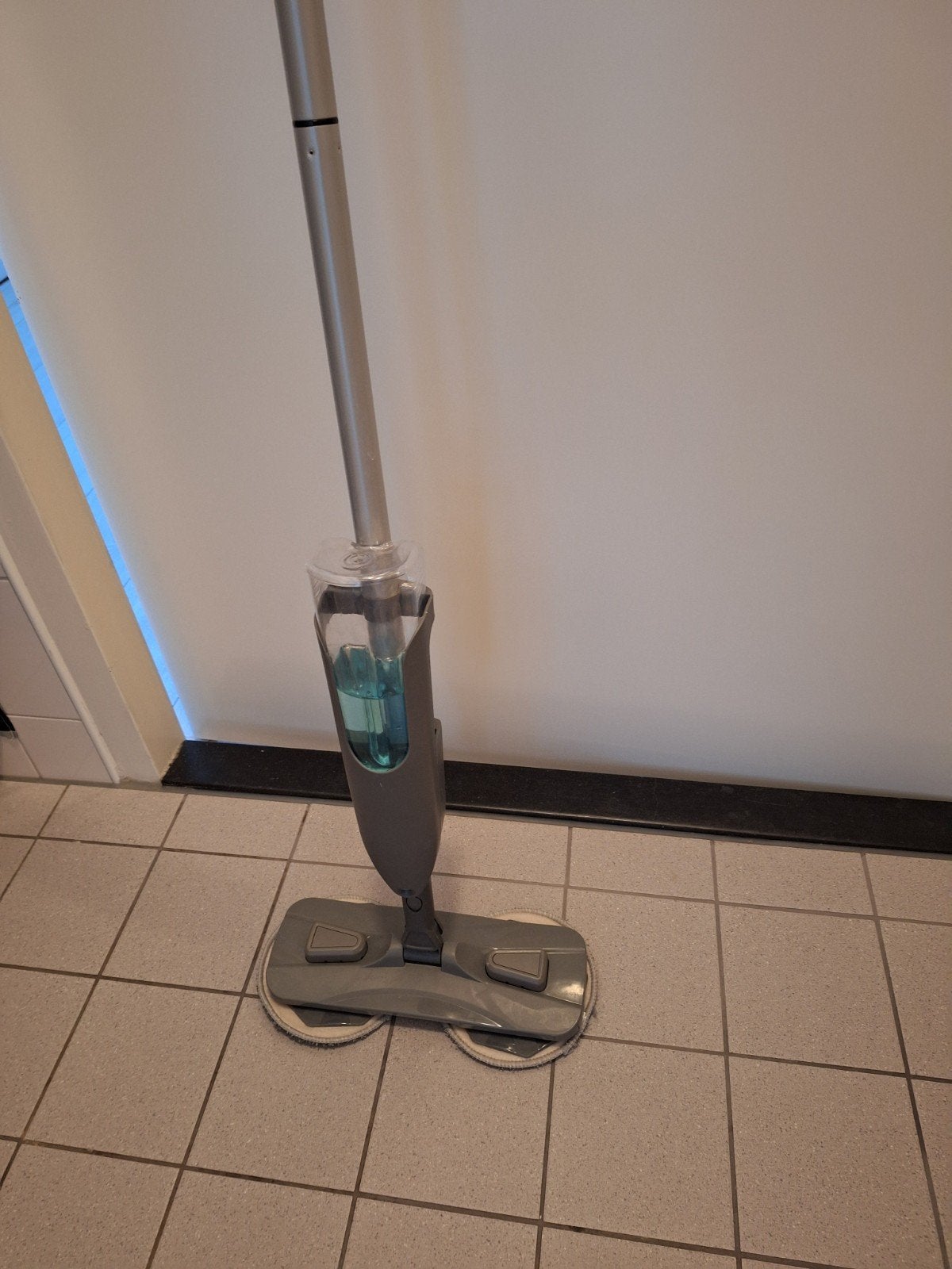 vloerreiniger, Huis en Inrichting, Ophalen