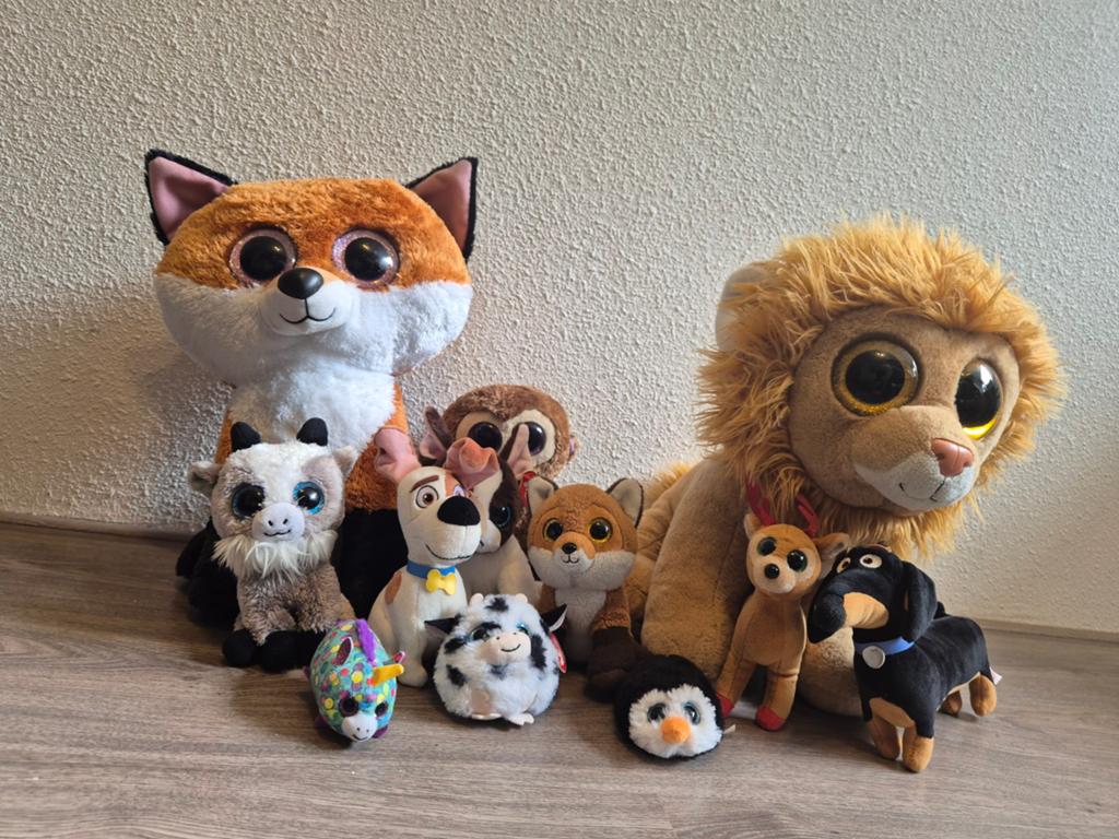 Set TY knuffels, Kinderen en Baby's, Speelgoed | Knuffels en Pluche, Ophalen of Verzenden, Overige typen, Ty