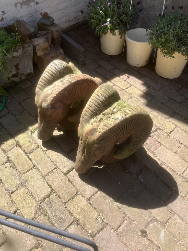 Twee hele bijzondere terracotta tuinbeelden- ramskoppen, Tuin en Terras, Tuinbeelden, Ophalen, Gebruikt, Overige materialen, Dierenbeeld