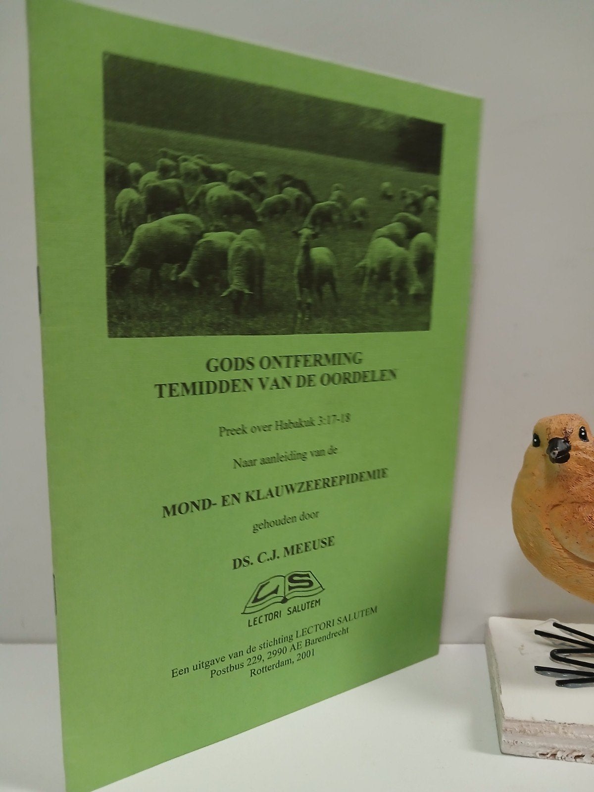 Meeuse, Ds. C.J.; Gods ontferming temidden van de oordelen, Ophalen of Verzenden, Gelezen, Christendom | Protestants