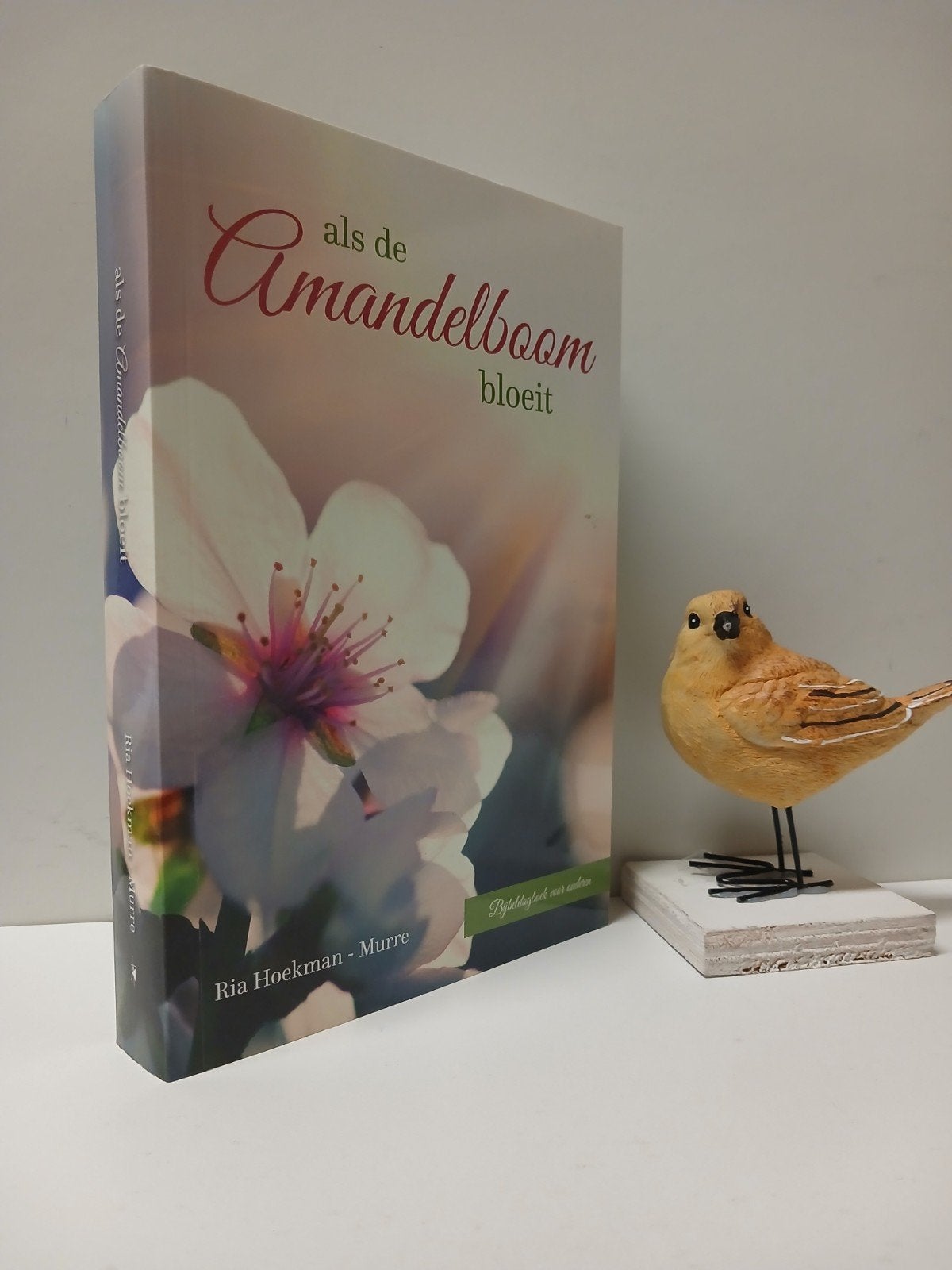 Hoekman-Murre, Ria; Als de amandelbloem bloeit, Boeken, Ophalen of Verzenden, Gelezen, Christendom | Protestants