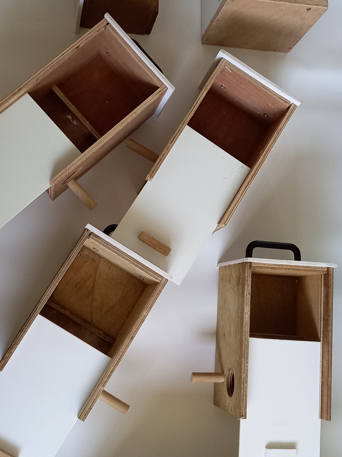 nestkastjes voor tropen, Meerdere dieren, Kleurkanarie
