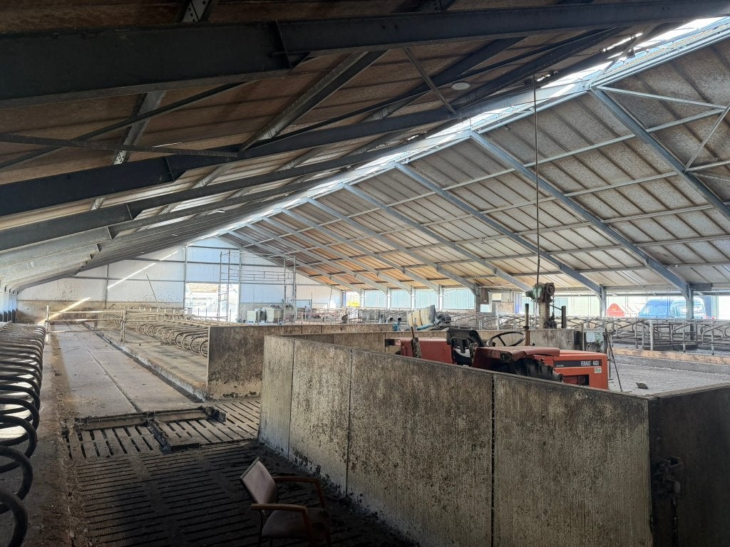 Staalconstructie  1.750 m² | 32x52 m | IPE spanten | Loods, Ophalen, Tot 1 ha, Melkveehouderij