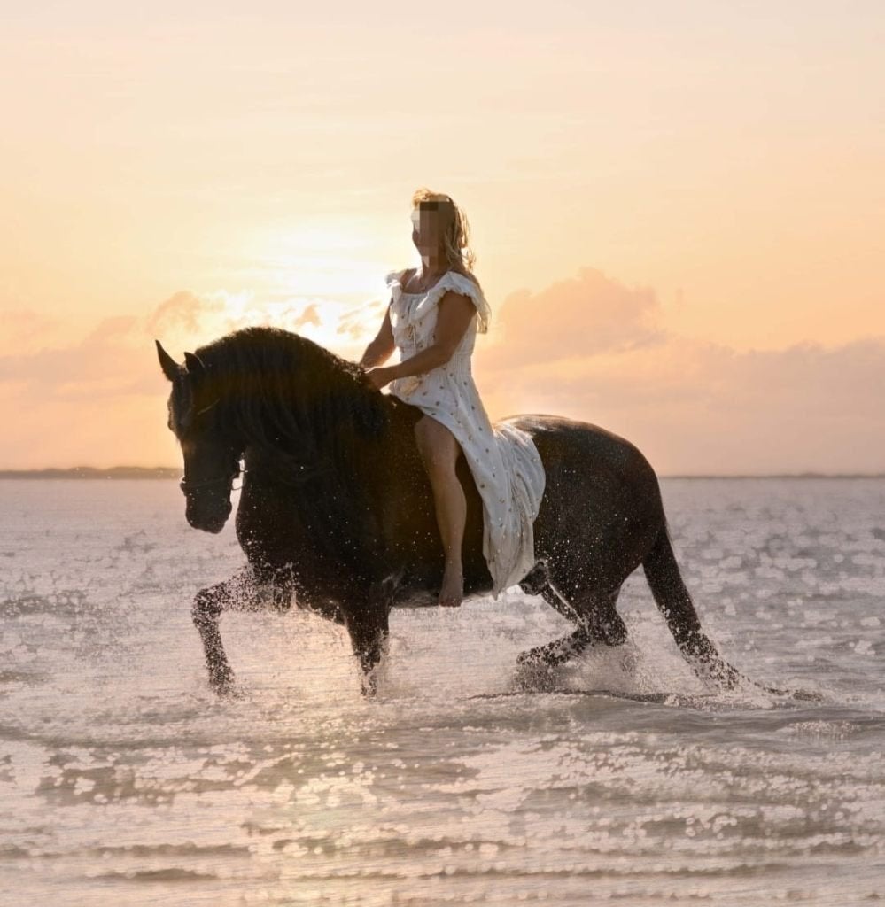 Mooie lieve Friese ruin, Met stamboom, Ruin, L, 11 jaar of ouder