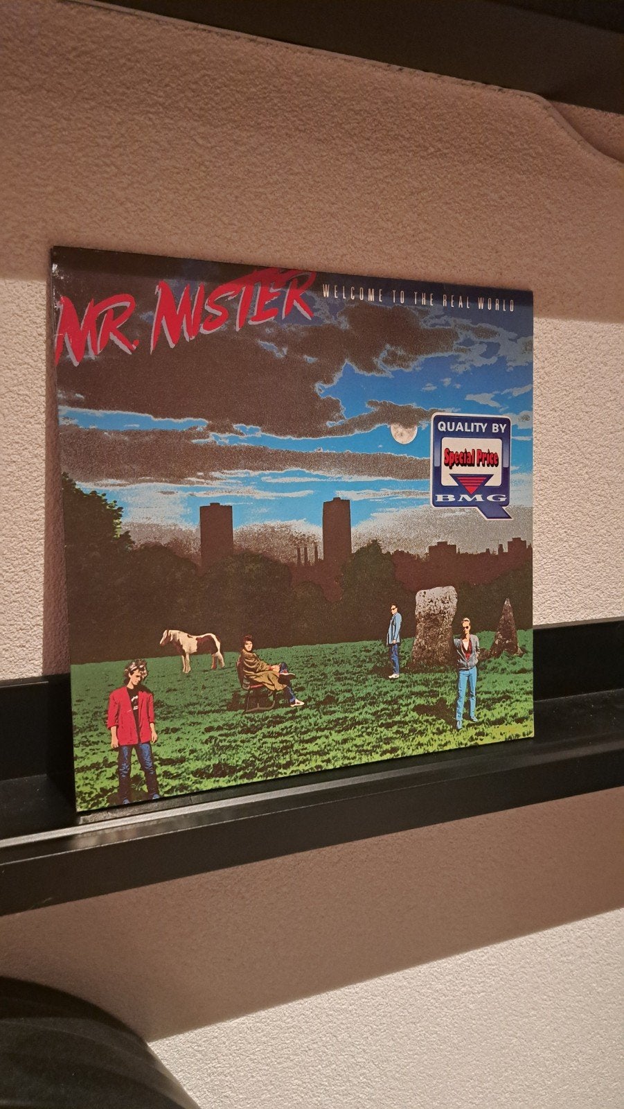 Mr Mister, Ophalen of Verzenden
