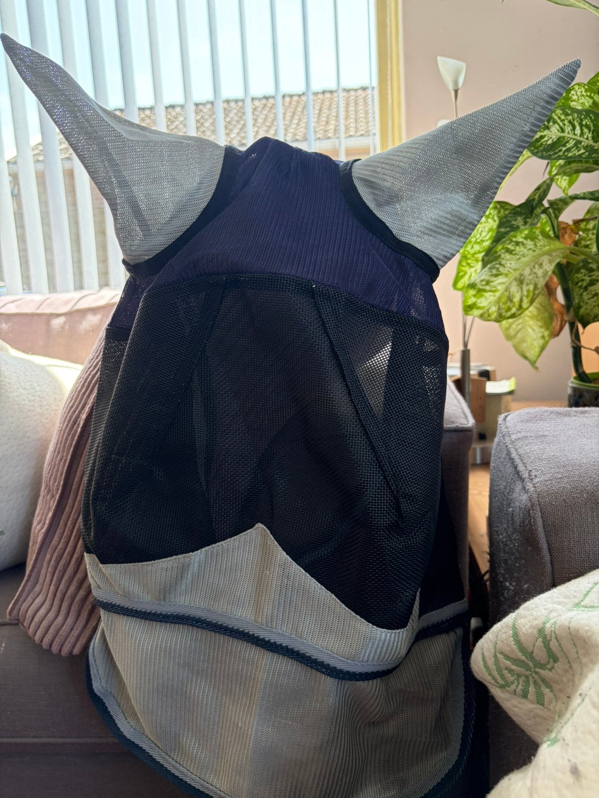 Vliegenmasker, Dieren en Toebehoren, Ophalen of Verzenden, Nieuw