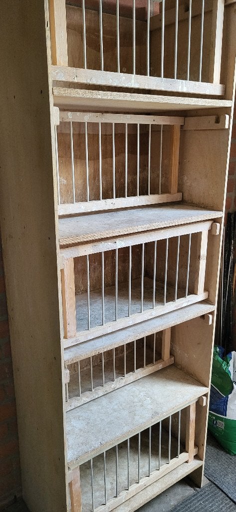 postduiven, Dieren en Toebehoren, Meerdere dieren, Postduif