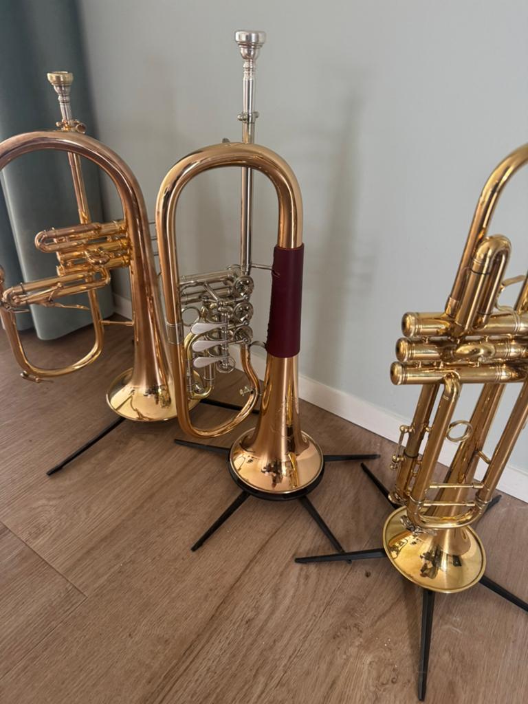 Cerveny CFH 703 Mistrinanka Bb-flugelhorn, Muziek en Instrumenten, Ophalen, Zo goed als nieuw, Koperblazer, Met koffer of draagtas