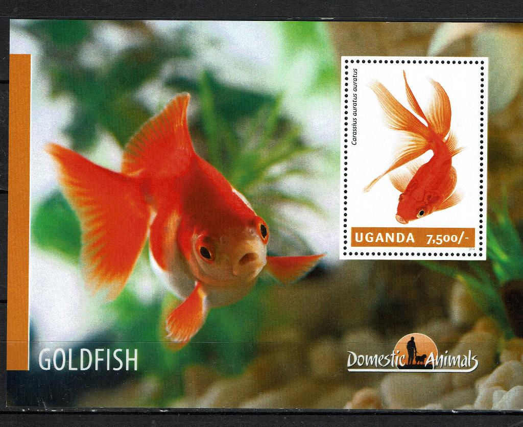 UGANDA 2014 PF BLOK GOUDVISSEN VISSEN FISHES 2, Ophalen of Verzenden, Postfris, Dier of Natuur