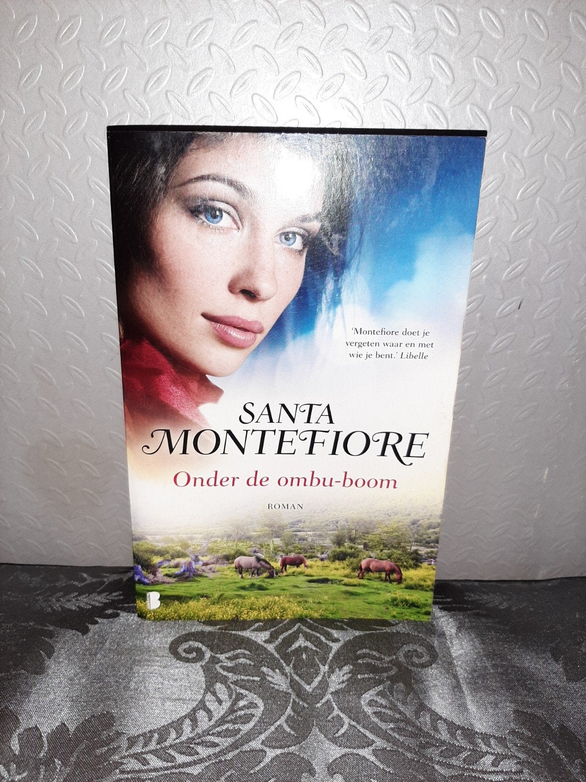 Onder de ombu-boom - Santa Montefiore (Roman), Boeken, Ophalen of Verzenden, Zo goed als nieuw, Santa Montefiore, Nederland