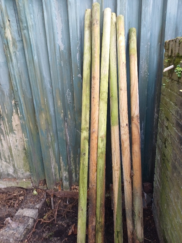 Palen, Ophalen, Gebruikt, Minder dan 180 cm, Palen