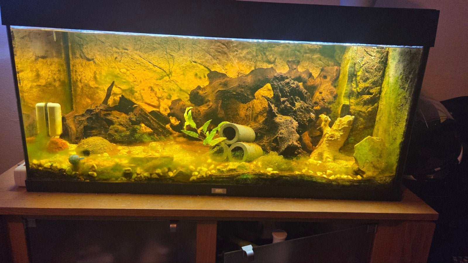 aquarium aangeboden compleet, Ophalen of Verzenden, Inclusief deksel, Gebruikt, Gevuld zoetwateraquarium