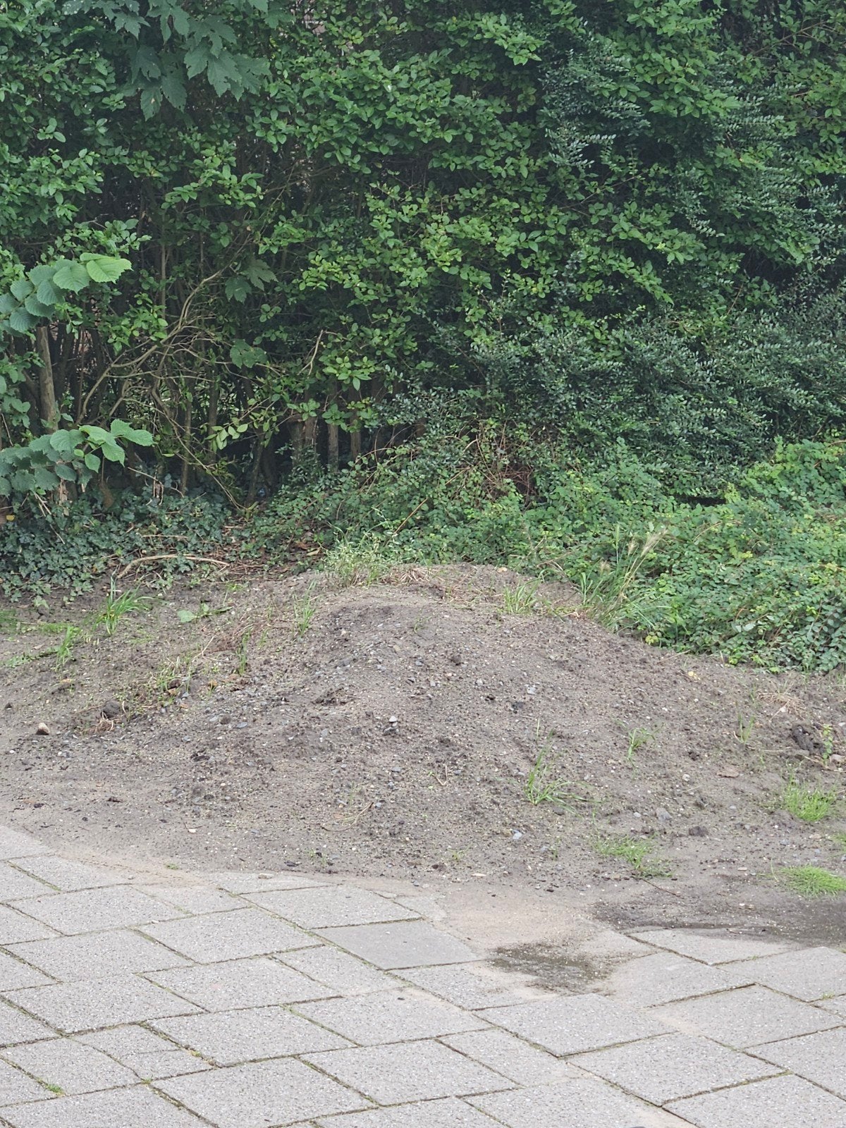 Gratis af te halen: Tuinaarde, Ophalen, Gebruikt, Ophoogzand