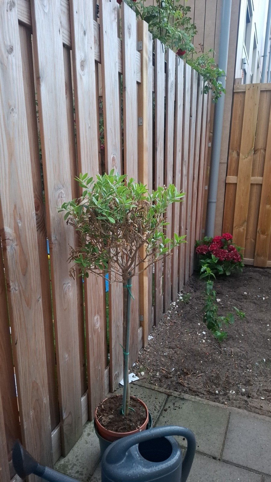 Gezocht tuinman, Tuin en Terras, Ophalen of Verzenden
