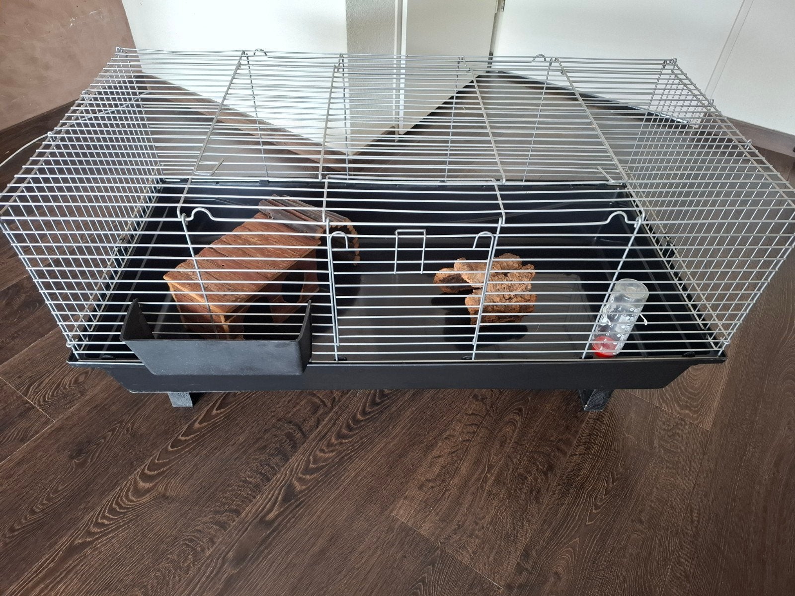 Caviakooi, 110 cm of meer, Hok, Cavia, Ophalen