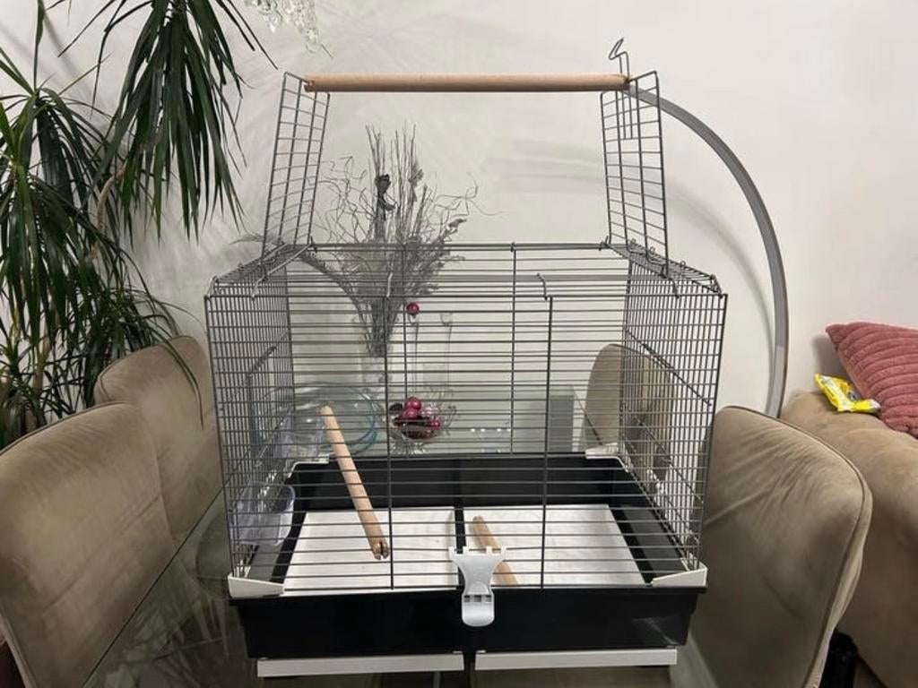 Kooi, Ophalen, Zo goed als nieuw, Hout, Vogelkooi