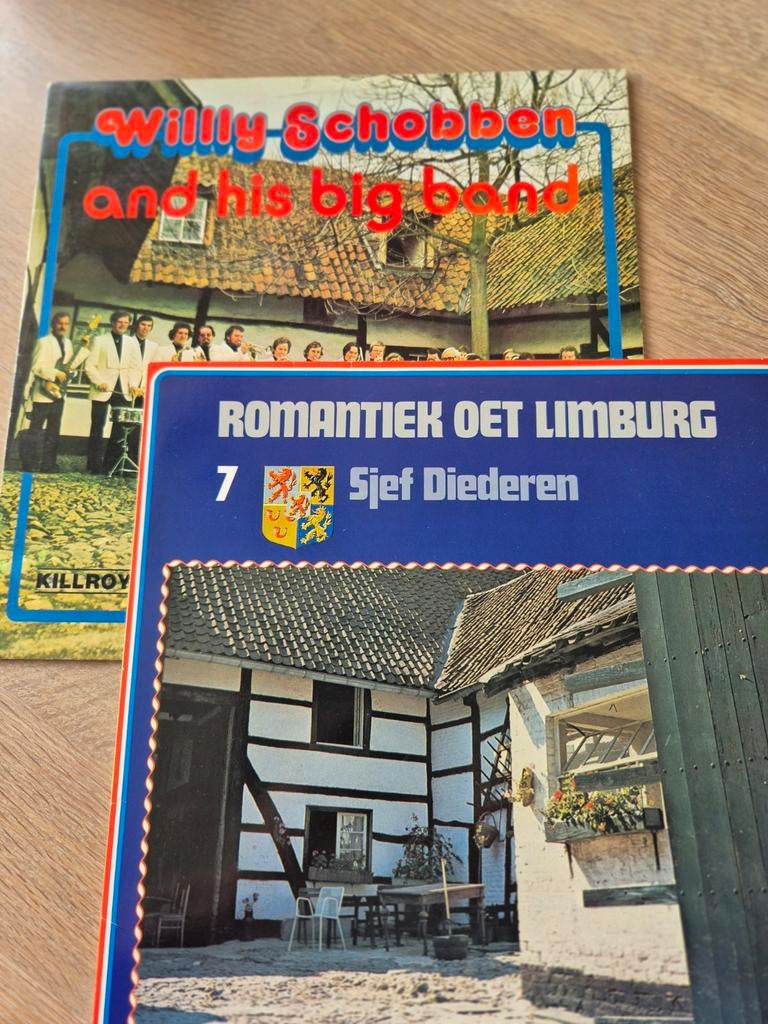 Vinyl LP's Sjef Diederen & Willy Schobben - Limburgse muziek, Gebruikt, Ophalen of Verzenden, 1970 - 1979, 12 inch