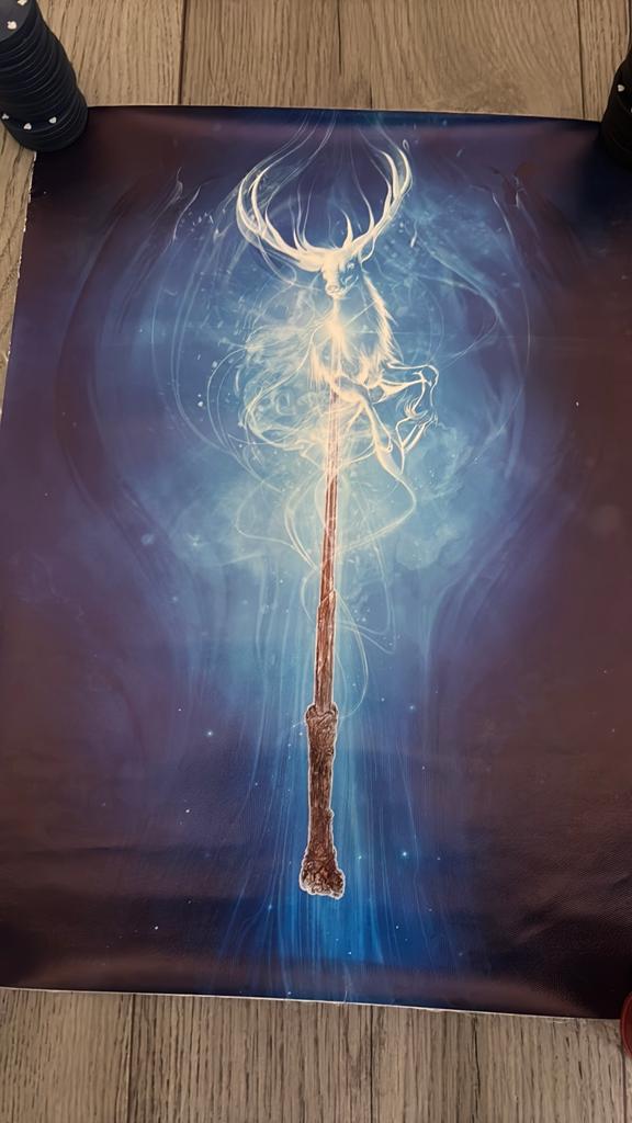 Harry potter schilderijen zonder lijst, Ophalen of Verzenden