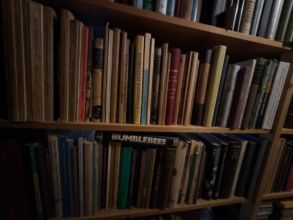 Diverse boeken over bijen, hommels en insecten, Boeken, Ophalen of Verzenden, Gelezen, Europa overig